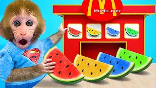 Macaco BonBon Encontrou Um Tesouro Bem Dentro De Casa - Bonbon Portugal