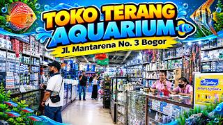 CRAZY.. ‼️ THIS BOGOR ORNAMENTAL FISH STORE IS SO WELL-STOCKED -| TERANG AQUARIUM