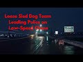 Full Dash Cam Video Released of Loose Sled Dog Team Leading Police On A Chase Around Town