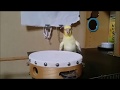 快気祝いのタンバリン