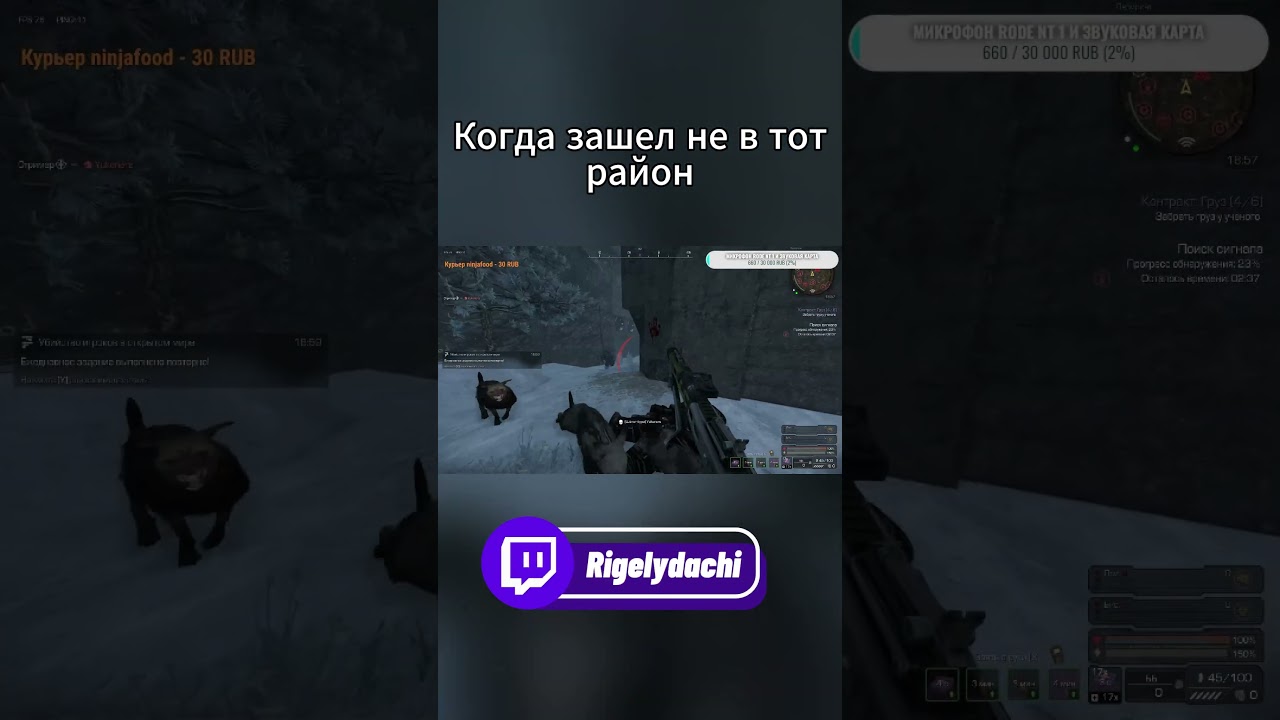 Зашел в район фурри(зари) 