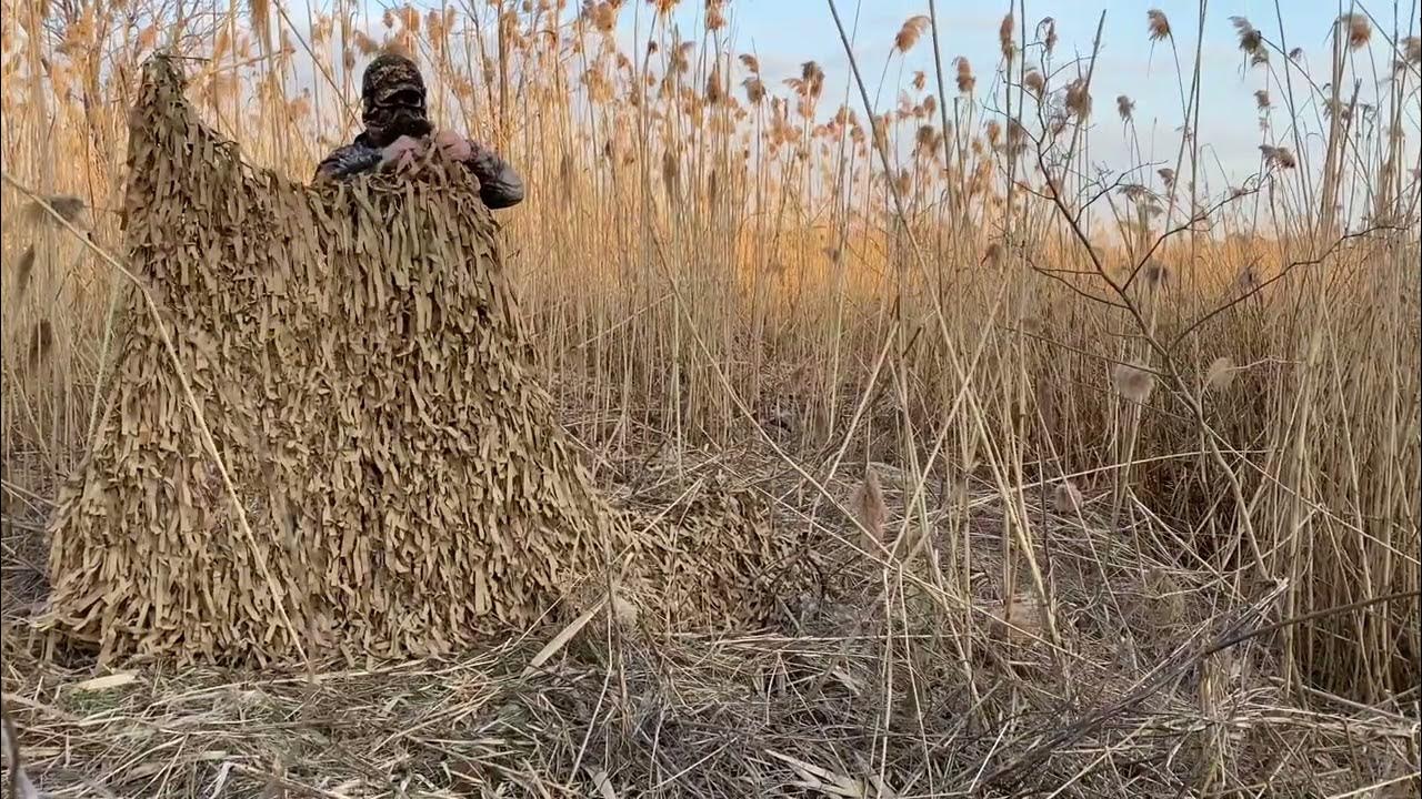 Сеть камыш. Маскировочная сеть сухой камыш. маскировочная сетка камыш. маскировочная сетка сухой камыш. маскировочная сетка из лыка.