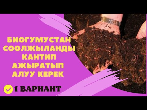 Video: Жылан кантип тамактанат?