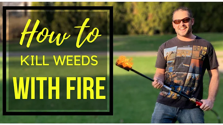 Weed Dragon Propane Torch Kit - How to Kill Weeds Naturally