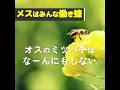 『いのちの環』No.179 インタビュー「自然の生態系の中で重要な役割を果たすミツバチ」（long）