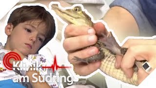 Krokodil im Gesicht! Wie kommt das Tier da hin? | Klinik am Südring | SAT.1