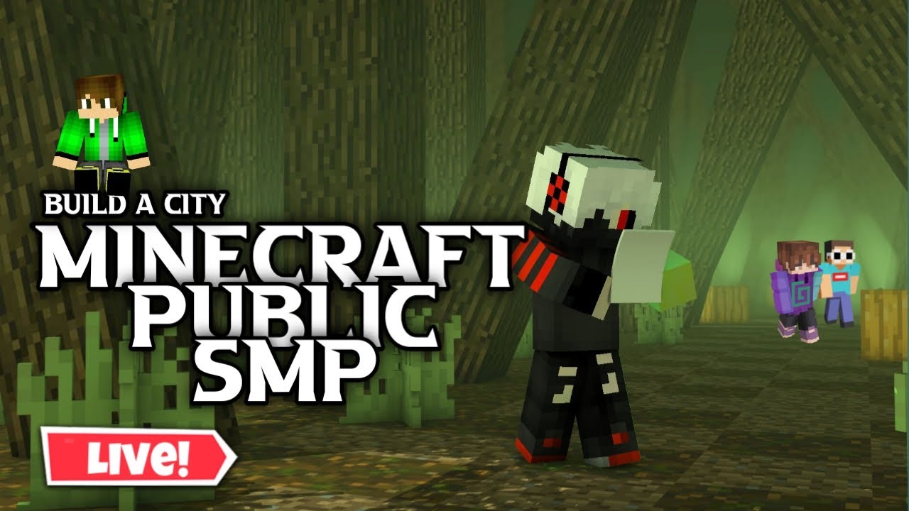 Minecraft live with subscribers public SMP road to 2k - YouTube