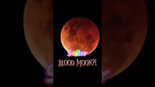 who saw the blood moon this week? #art #sailormoon #bloodmoon #fanart who saw the blood moon this week? #art #sailormoon #bloodmoon #fanart