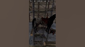 Horses crashed the server.. | Rust #shorts #rust