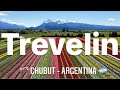 Los TULIPANES de TREVELIN, Chubut, Patagonia Argentina! - | 4K | -