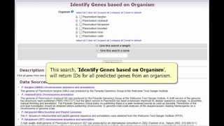 Identify Genes based on Organism Net Worth