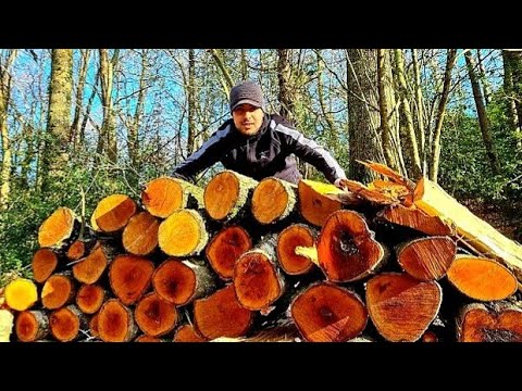 Comment récupérer du bois de chauffage gratuitement