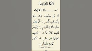 سوره الفيل #اكسبلور #القران_الكريم