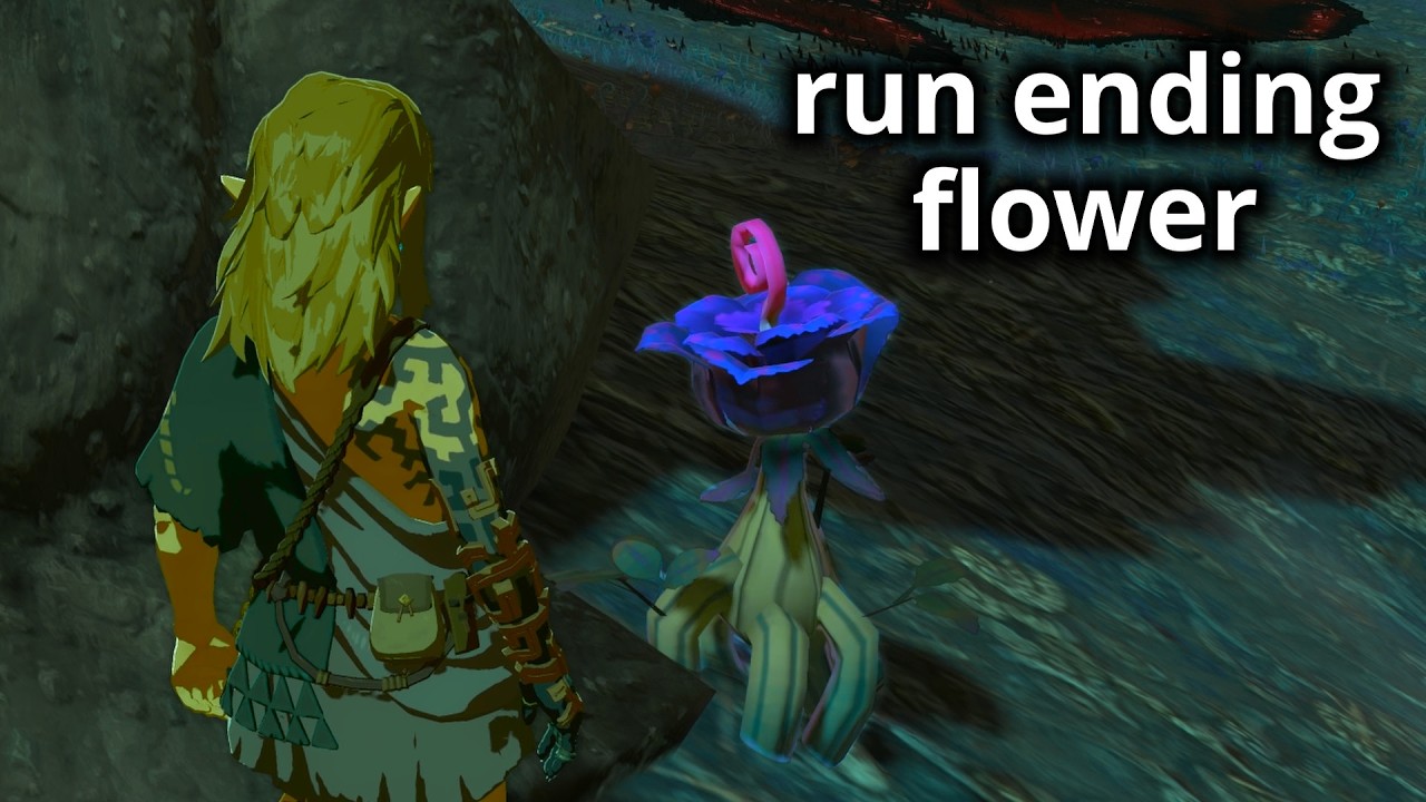 Can I Beat Zelda Without Stamina or Taking Damage?