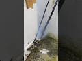 Ac gas leaking. #shorts #ytshorts #acrepair #trending