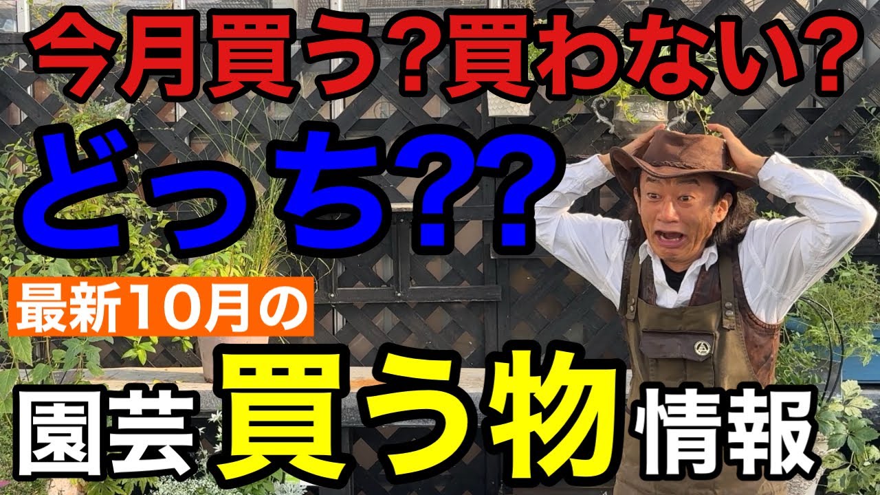 10月の買い物に迷ったあなたは〇〇するのがベストです！【園芸超人カーメン君】【園芸情報】【初心者】