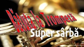 Super Sarba - Batuta la Trompeta chords