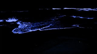 Sleep better with waves in the dark night  Super relaxing ocean sounds.