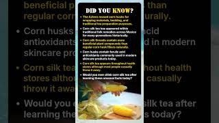 People Throw Away The Most Valuable Part Of Corn Profile