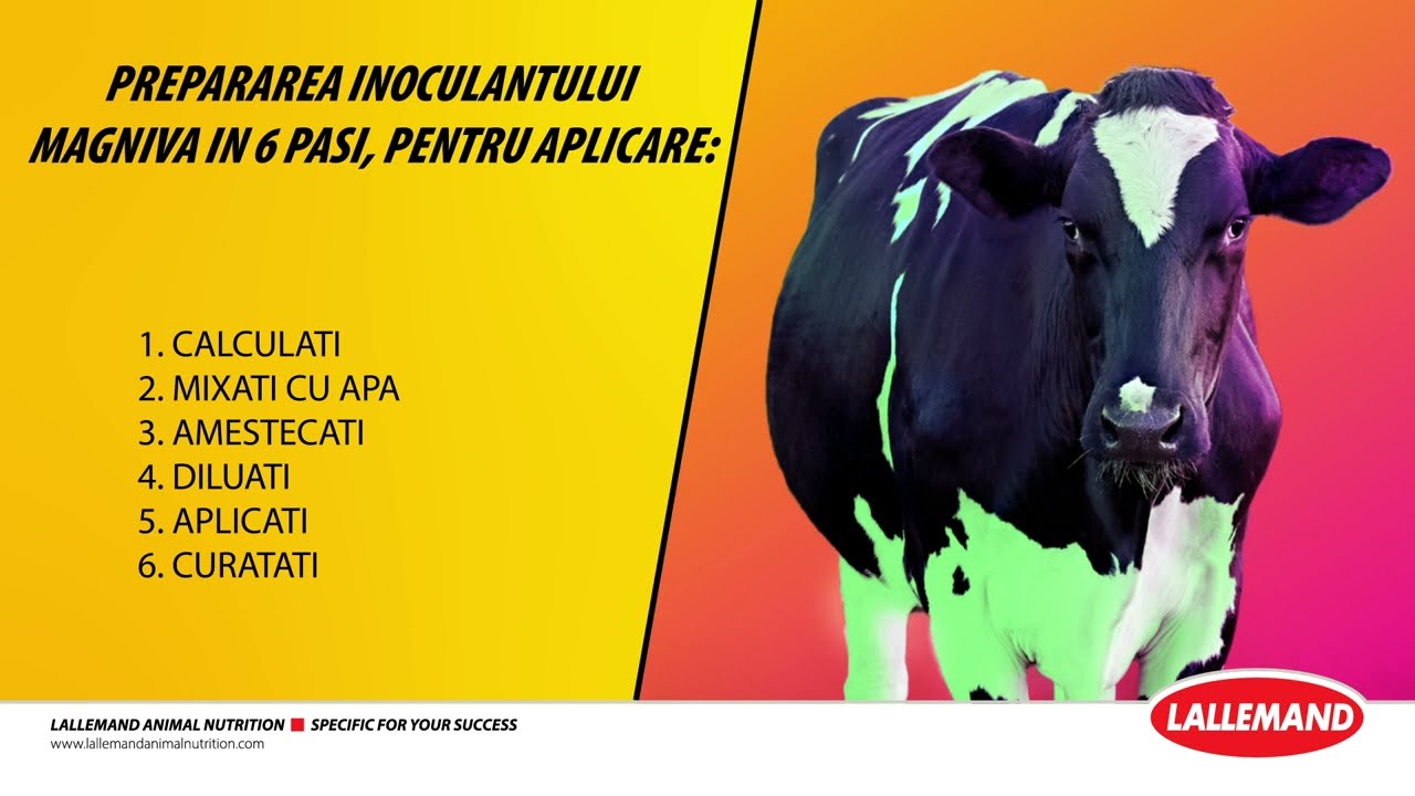 MAGNIVA Cum se mixeaza un inoculant