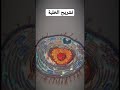 تشريح الخلية