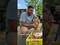 come eliminare la #peronospora nell'#orto #trattamento #algasan #zeolite #mattthefarmer #shorts