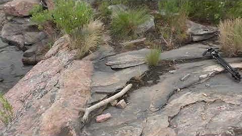 Stop 3b Parry Sound Trail Geologic Mapping
