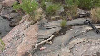 Stop 3b Parry Sound Trail Geologic Mapping