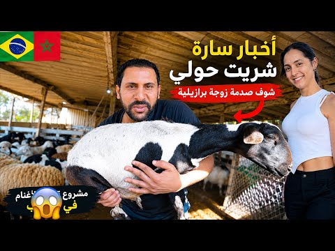 اخيرا شرينا الخروف العيد الأضحى مع مرأة مغربية ها شحال ثمن صذمة 😱🇲🇦🇧🇷 azdine boumani vlogs