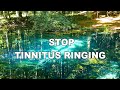 Stop Tinnitus with Music, Best Therapy to Relief Tinnitus