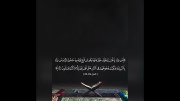 تلاوة هادئة من أواخر سورة النمل بصوت حسام الدين عبادي