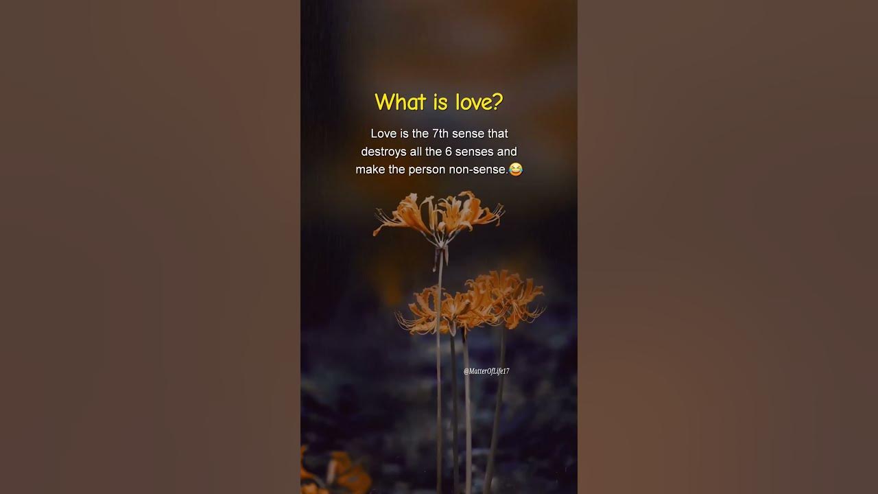 Love = 7th Sense 🤯❤️ | Funny But True#LoveFacts #RelationshipTruth #7thSense Love = 7th Sense 🤯❤️ | Funny But True#LoveFacts #RelationshipTruth #7thSense