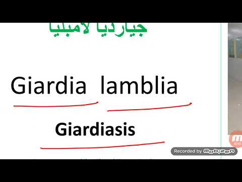 فيديو: كيفية علاج داء الجيارديات: 10 خطوات (بالصور)