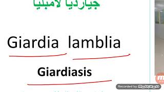 Giardia lamblia     جيارديا  لامبليا
