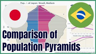 [🇯🇵Japan vs 🇧🇷Brazil] Comparison of Population Pyramids (1950-2100), 4 scenarios, #wpp2024