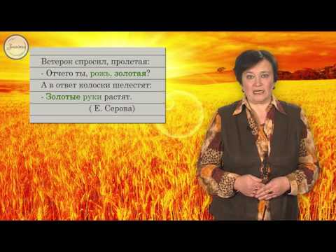 Русский 6 класс. Лексика и фразеология