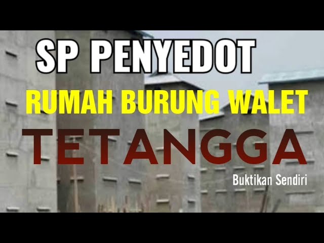 Suara Panggil Burung Walet Terbaik 2020 (Original) || Sedot RBW Tetangga class=