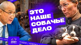 Убийство животных в Казахстане ни к чему не приведет!