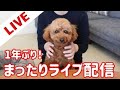 【復活】1年ぶりのまったりライブ