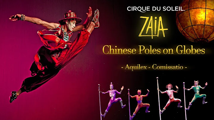 ZAIA2008- Chinese Poles on Globes
