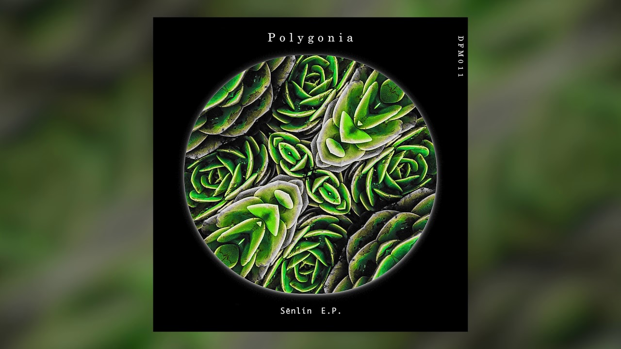 Polygonia - Lullaby Of Yews [DFM011 / Deflection Music]