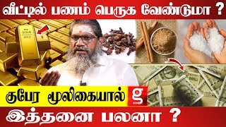 பண வரவை நீடிக்க சித்தர்கள் காட்டிய வழி | பாலாறு சுவாமிகள் | Galatta Divine |