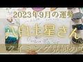 【占い】2023年9月の八白土星さんの運勢は？【タイミング見極めて！】