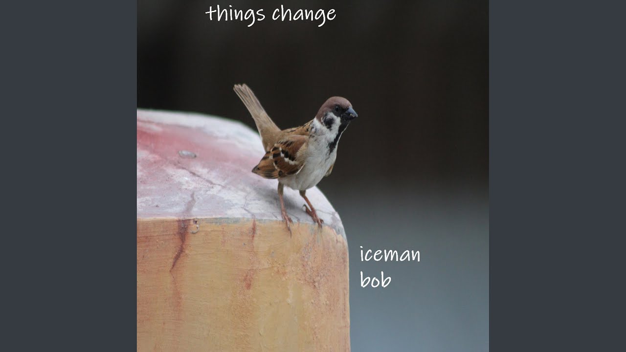 Watch fine time on YouTube