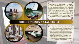 HA LONG BAY ORCHID TRENDY CRUISE , 하롱베이 5성급 오키드 트렌디 크루즈, 하롱베이 1박2일 투어, 하롱베이 5성급 크루즈 , 베트남  현지 여행사