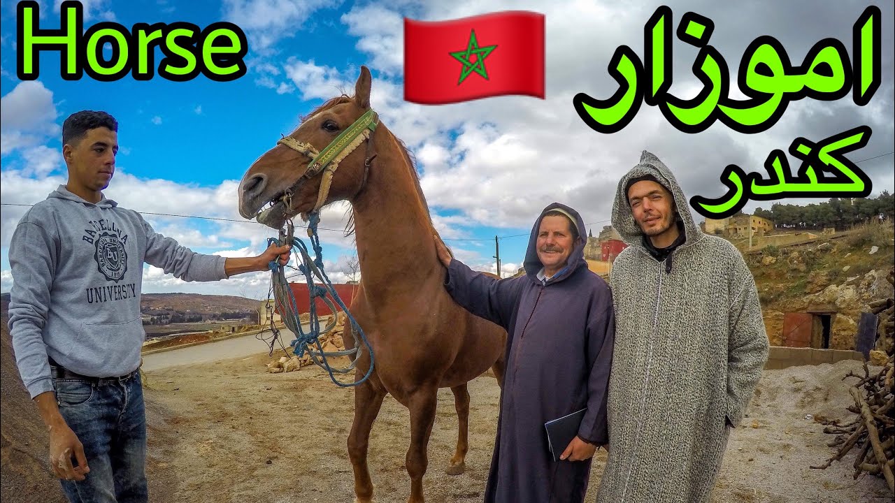 (فلوگ) اموزار كندر / IMOUZZER KANDAR 2020 / اجي تشوف نمط جديد من الانماط عيش الخيول بالمغرب/🐎 HORSE