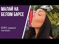 МАЛАЙ НА БЕЛОМ БАРСЕ (БИМ-радио version)
