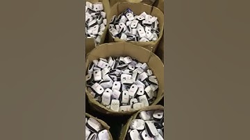 Máy Đuổi Chuột, Gián, Muỗi Và Côn Trùng Pest Reject