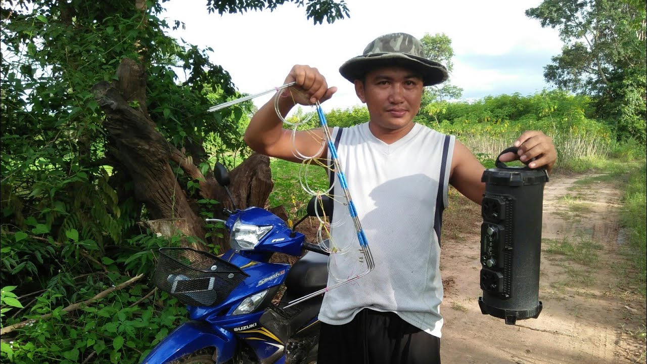 ทดลองคลื่นดักพังพอน