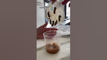 At home Butterfly Garden on the way!